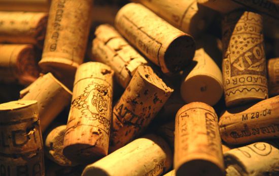 軟木.jpg 軟木.jpg